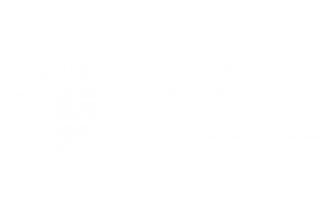 Gallo Acoustics